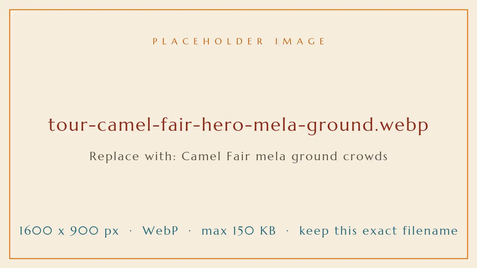 Crowds and camel herds spread across the mela ground at the Pushkar Camel Fair